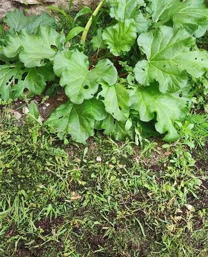 Chez Isa Blamont (Meurthe-et-Moselle)